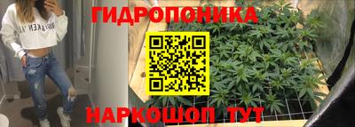 СК Пушкино