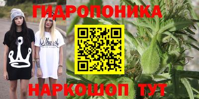СК Пушкино
