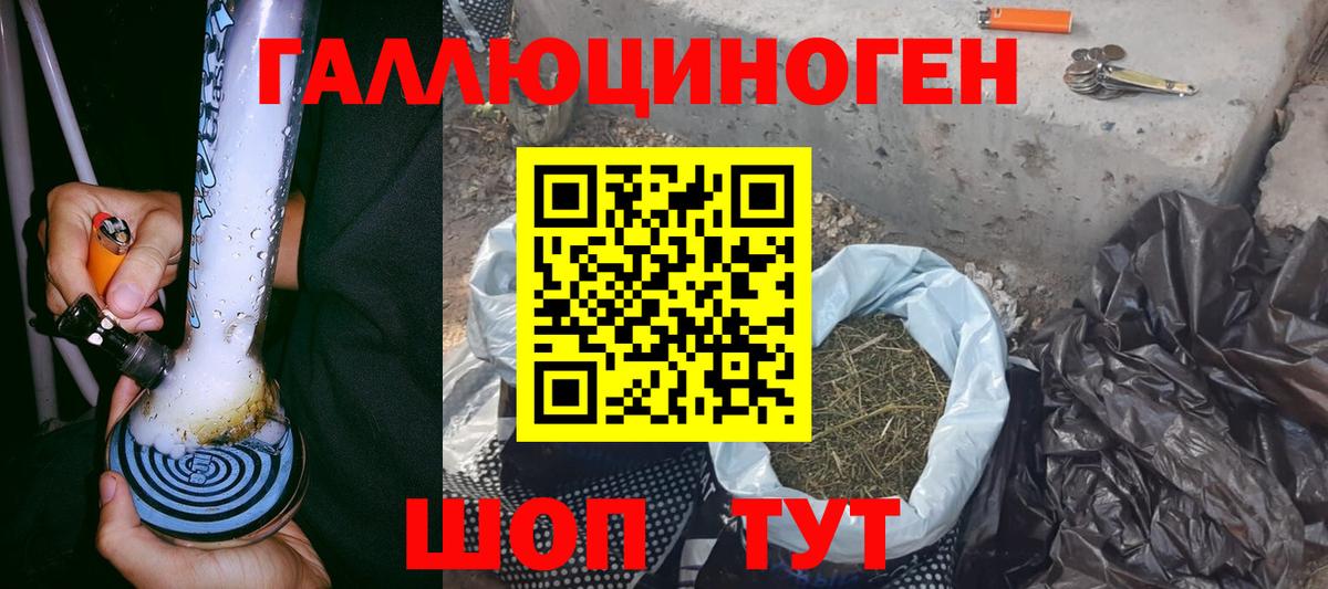 Галлюциногенные грибы Psilocybe  Вход с VPN  Рязань 