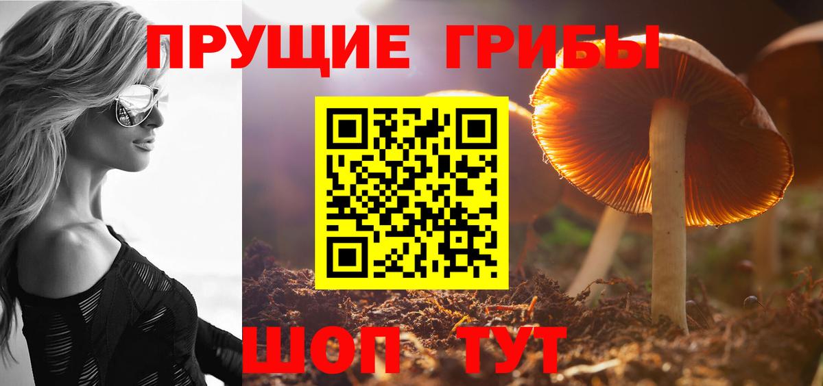 Галлюциногенные грибы прущие грибы Рязань